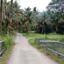 Tapah Perak 551 Acres Freehold Agriculture land For Sale