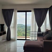 Cubic Botanical 900sqft 3 R 2 B Fully Furnished Corner Unit For Sale