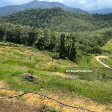 Tanjong Malim Agriculture Land For Sale