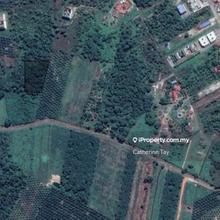 Agriculture Land Padang Endau Mersing Johor