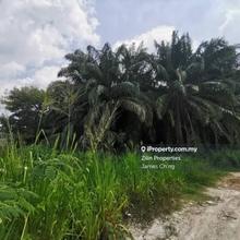Industrial land for Sale