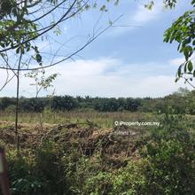 Agriculture land for Sale