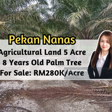 Pekan Nanas, Agricultural Land, 5 Acre, 8 Years old Palm Tree