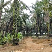 Oil Palm Land @ Sungai Jang, Kerling, Hulu Selangor 