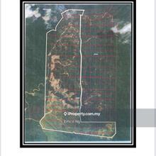 Palm oil estate Ranau for sale sabah 