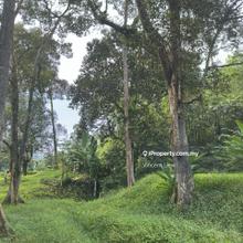 Agri Land come with river, just beside main road