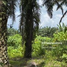 Small Plot Of Agriculture Land 