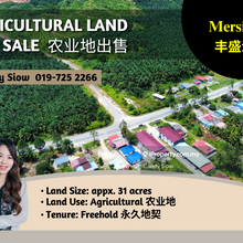 Mersing 31 acres Oil Palm Agricultural Land