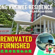 Furnished Renovated Apartment at Gajah Berang Ong Kim Wee