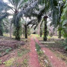 Kawasan Perindustrian Kelapa Sawit Agricultural Land Freehold Unit