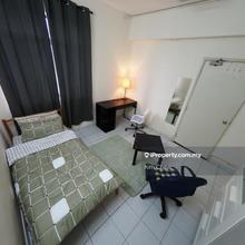 Single room for let - available now