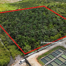 Premium Agriculture Land Kota Tinggi Johor 