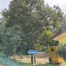 Bentong karak 