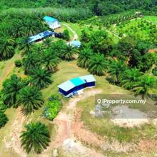 Agricultural Land Kuala Pilah Negeri Sembilan