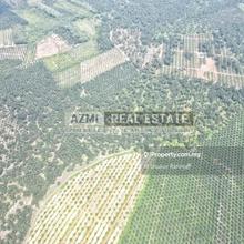 Tanah Internatinal Lot l Open category l 75 Ekar & 4.694 Ekar