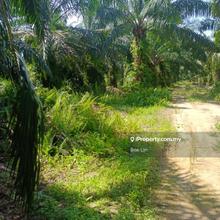 Jeram Freehold agriculture land for sale, with access
