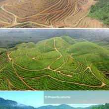 Agriculture land for Sale