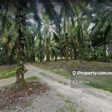 Pahang Kuala Kuantan Gambang 82 acres Zoning Residential Land for sale