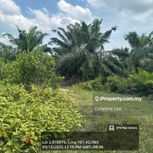 Pulau Carey Industrial Land For Sale