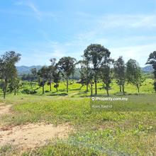 Spacious 162 Acres Agricultural Land Kerling, Hulu Langat
