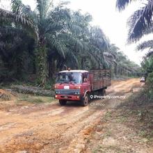 Pahang rompin induvidual title 5075 acres palm oil land for sale 
