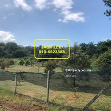 Agriculture land@Zoning Industrial, Batu 6 Lukut Port Dickson For Sale
