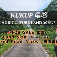 Kukup Agriculture Land For Sale 