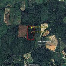 Agriculture Land 5.12 Acre Freehold Kampung Air Betang, Perak