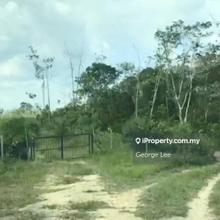 Kuala Lipis, Pahang - lfs110 Agriculture Land