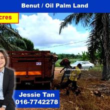 Benut pontian kampung parit haji yusuf oil palm land for sale
