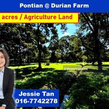 Pontian kayu ara pasong agriculture land durian land for sale
