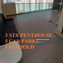 Freehold penthouse