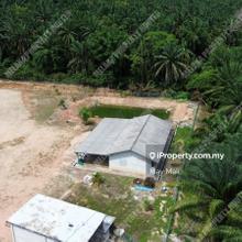 Freehold Agriculture Land Jasin Rim Melaka Limited For Sale 