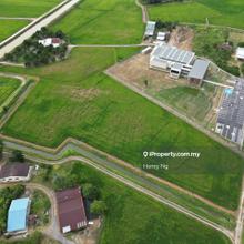 Guah kepah kampung bumbong Lima Mainroad Agriculture Land For Sale