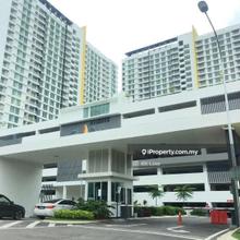 Lelong 3rd Jun 2025