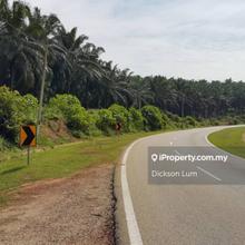 200 Acres Kuala Pilah Agricultural Land For Sale