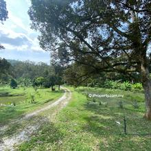 Broga agriculture land 