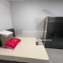 Yolo Signature Suite Medium Room