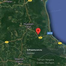 Oil Palm Plantation@ Keratong, Daerah Rompin Pahang, 11 - 13 Year tree