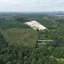 Jasin 100 Acre Land