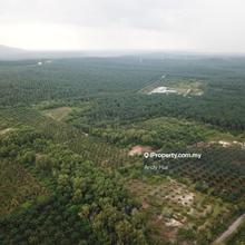Commercial land for Sale