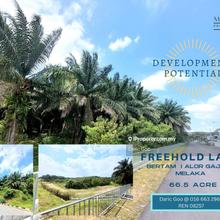 Freehold Land At Bertam Tg Minyak Melaka