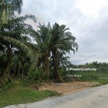 Telok Panglima Garang (Sungai Rambai) Industrial Land