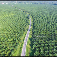 Kuala Pilah , Negeri Sembilan Lnd For Sale 