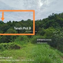 Golden Opportunity: Residential Land Available in Pekan Panchor