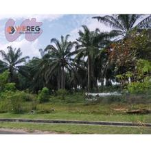 Agricultural Land Melaka - Jasin and Bemban