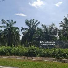 Industrial land for Sale Batu Kawan Industrial Park (Phase 2) 