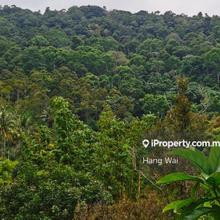 Agriculture Land For Sale