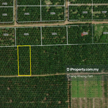 Agricultural Land @ Kampung Ulu Tris, Tanjung Sepat for Sale