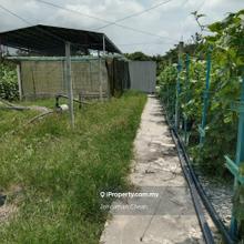 Freehold ! Taiping Rare Land for Sale(Convertible to Housing Land!)